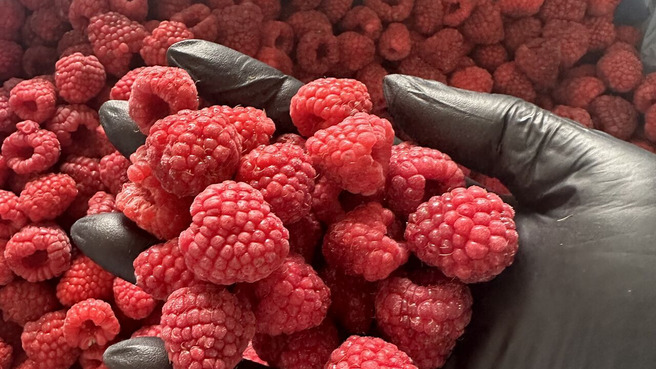 IQF Raspberry