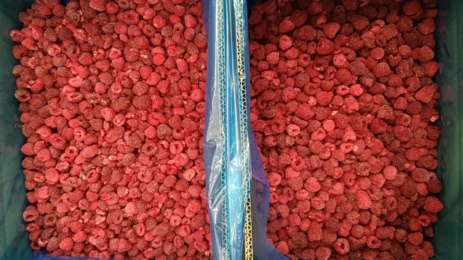 IQF Raspberry